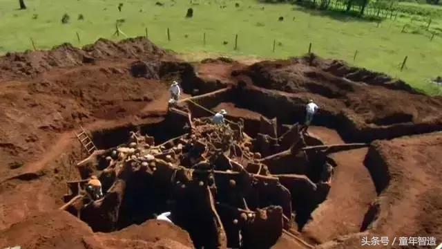 假期一定要带孩子看的5部纪录片,孩子必看的10部自然纪录片