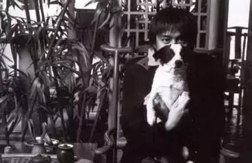 古牧真的很难养吗,古牧被遗弃了