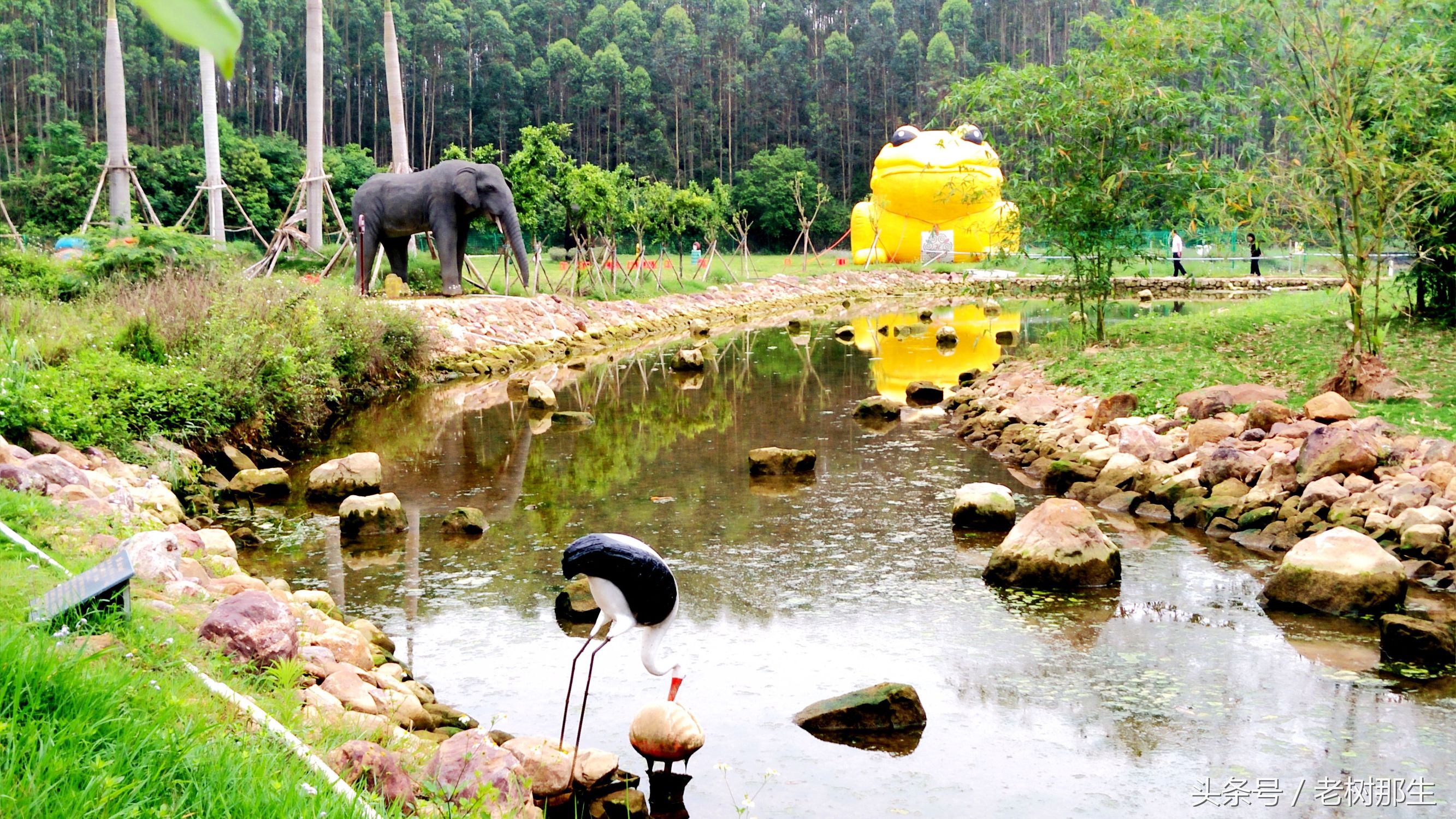 南宁花雨湖景区好玩吗,南宁花雨湖风景区
