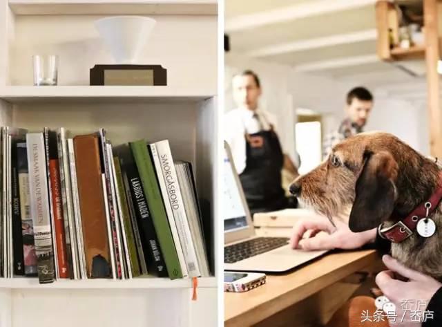 咖啡搭配芝士生蚝,咖啡加生蚝