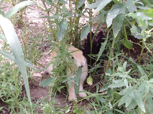 史上最奇葩的搞笑冷知识,搞笑奇葩冷知识