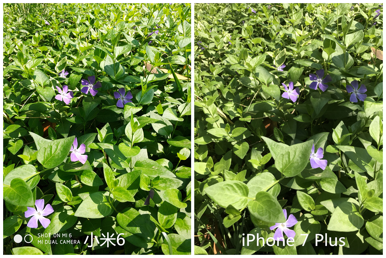 小米6怎么样最新评测,小米6深度评测全集