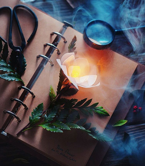 天马行空摄影,天马行空的拍摄