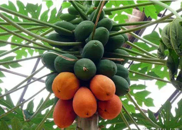 浙江五一旅游攻略亲子游,五一山东小众旅游亲子游