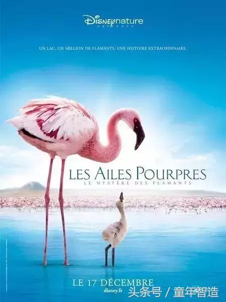 假期一定要带孩子看的5部纪录片,孩子必看的10部自然纪录片