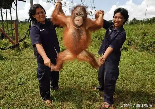 假期一定要带孩子看的5部纪录片,孩子必看的10部自然纪录片