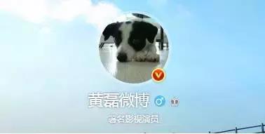 古牧真的很难养吗,古牧被遗弃了