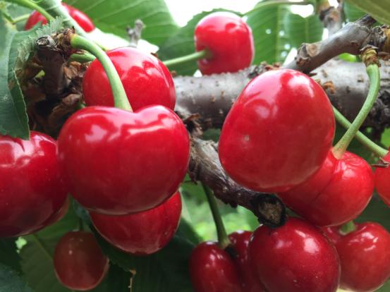 看临沂美景推荐,临沂有什么旅游景点值得玩的