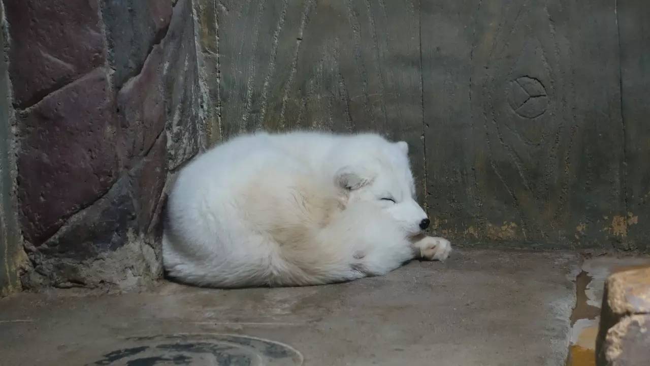 大连好玩的地方滨海路,大连东北路有什么好玩的