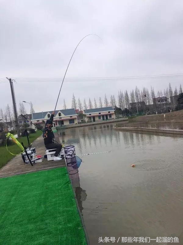 黑坑盛宴测评,化氏的黑坑盛宴鱼饵怎么样