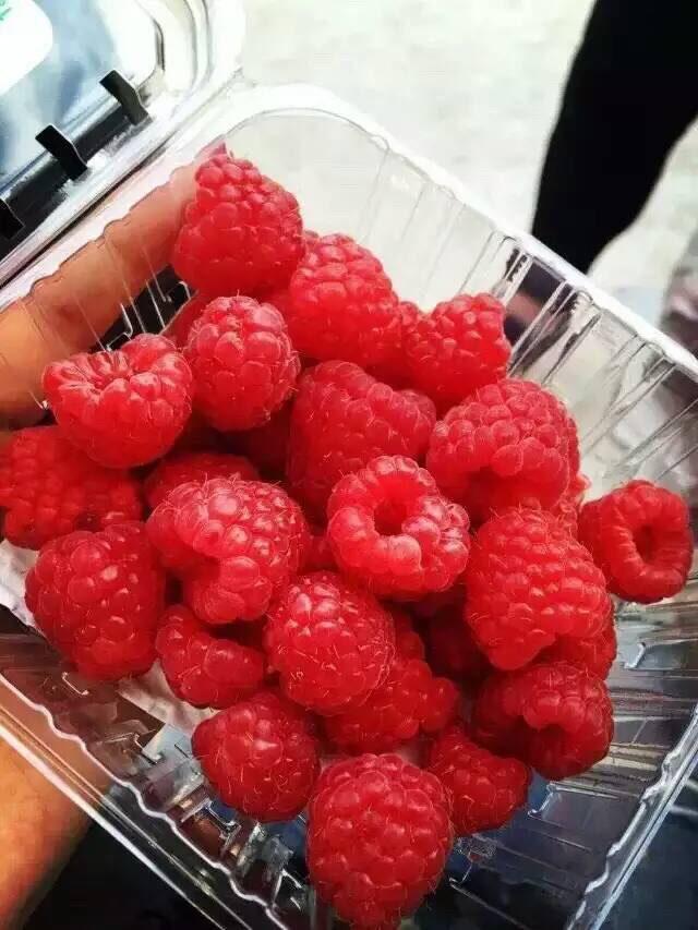 麦吉减肥法第二阶段吃多少,麦吉减肥法二阶段