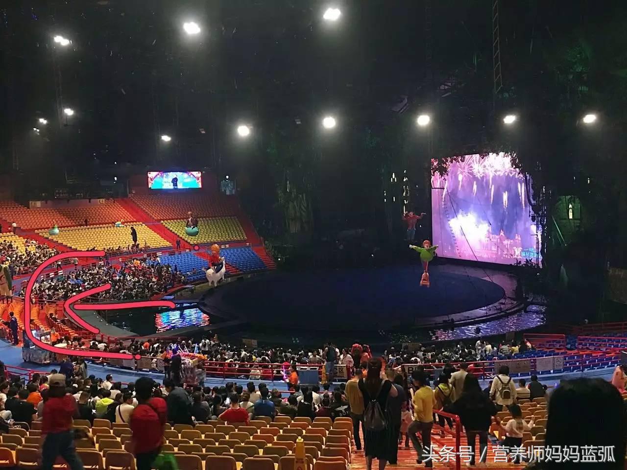 广州长隆海洋王国一日游攻略,广州长隆海洋王国亲子攻略