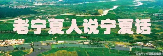 最难听懂的宁夏话,宁夏方言土话大全