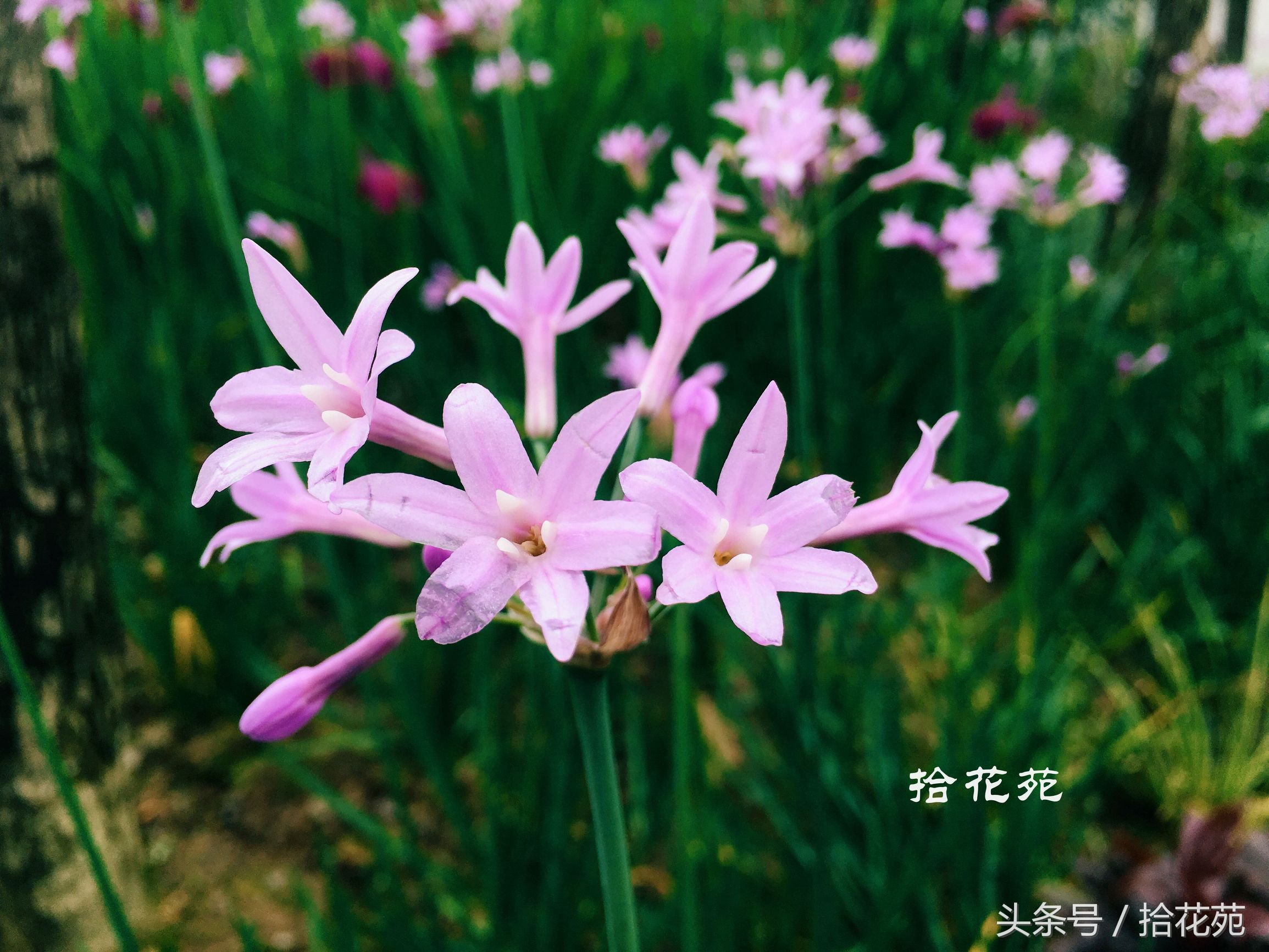 福州五一海边旅游推荐,福州五一海边游