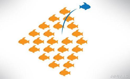 创业攻略：成功创业之路,创业的技巧如何快速创业成功