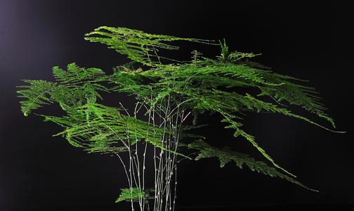 学习旺文昌运的方法,如何增强孩子的文昌运势