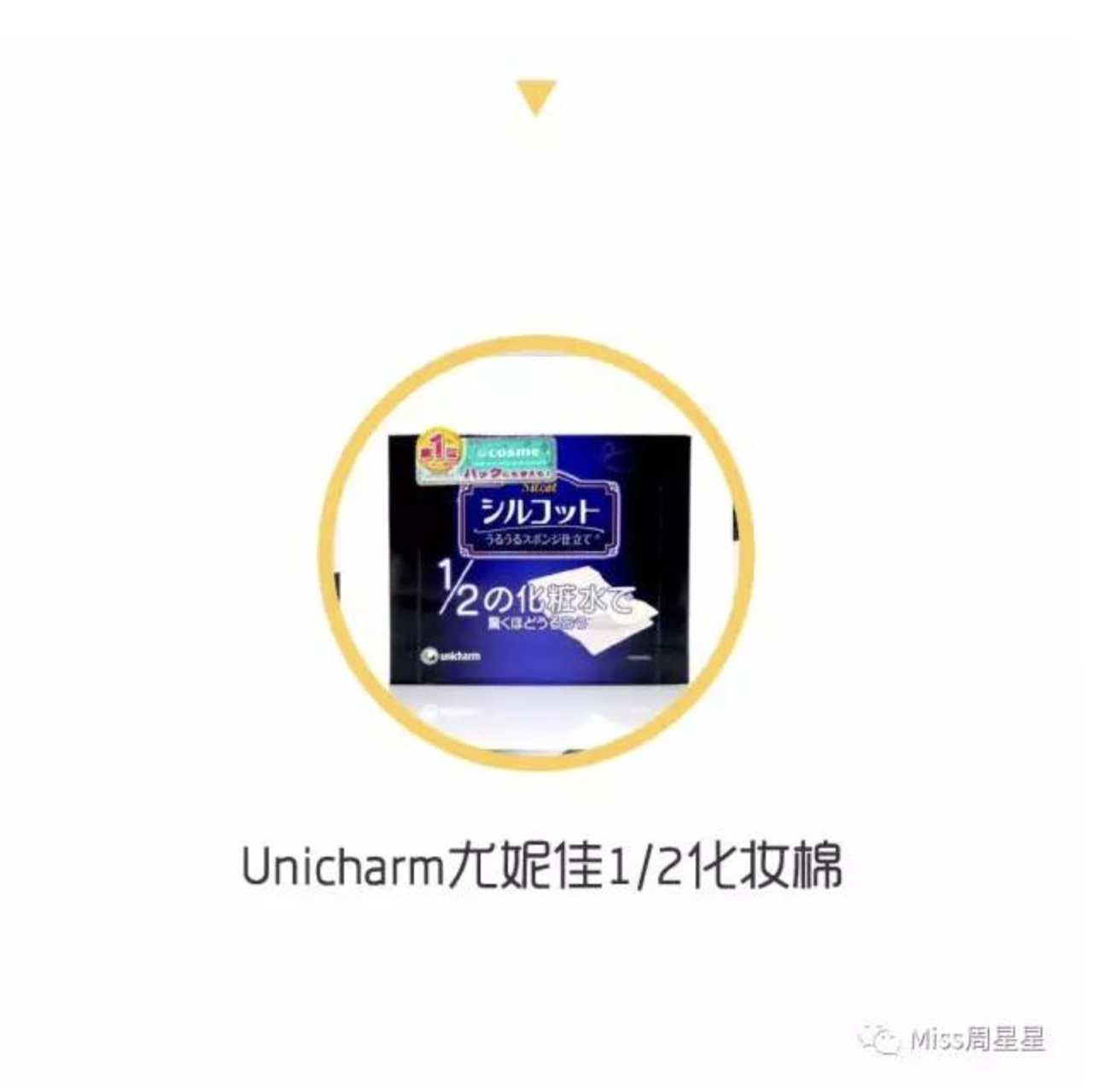 绉戝绉嶈崏,绉戝鎶よ偆鐩茬洰绉嶈崏