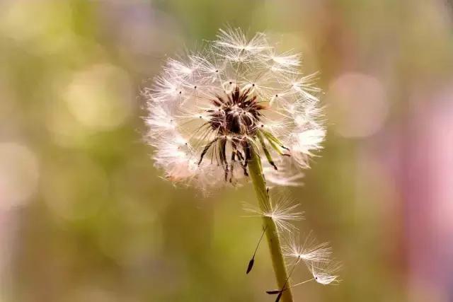 摄友作品点评,4月拍照