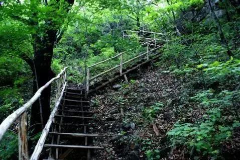 西安3月底周边赏花踏青一日游,武汉踏青自驾一日游推荐