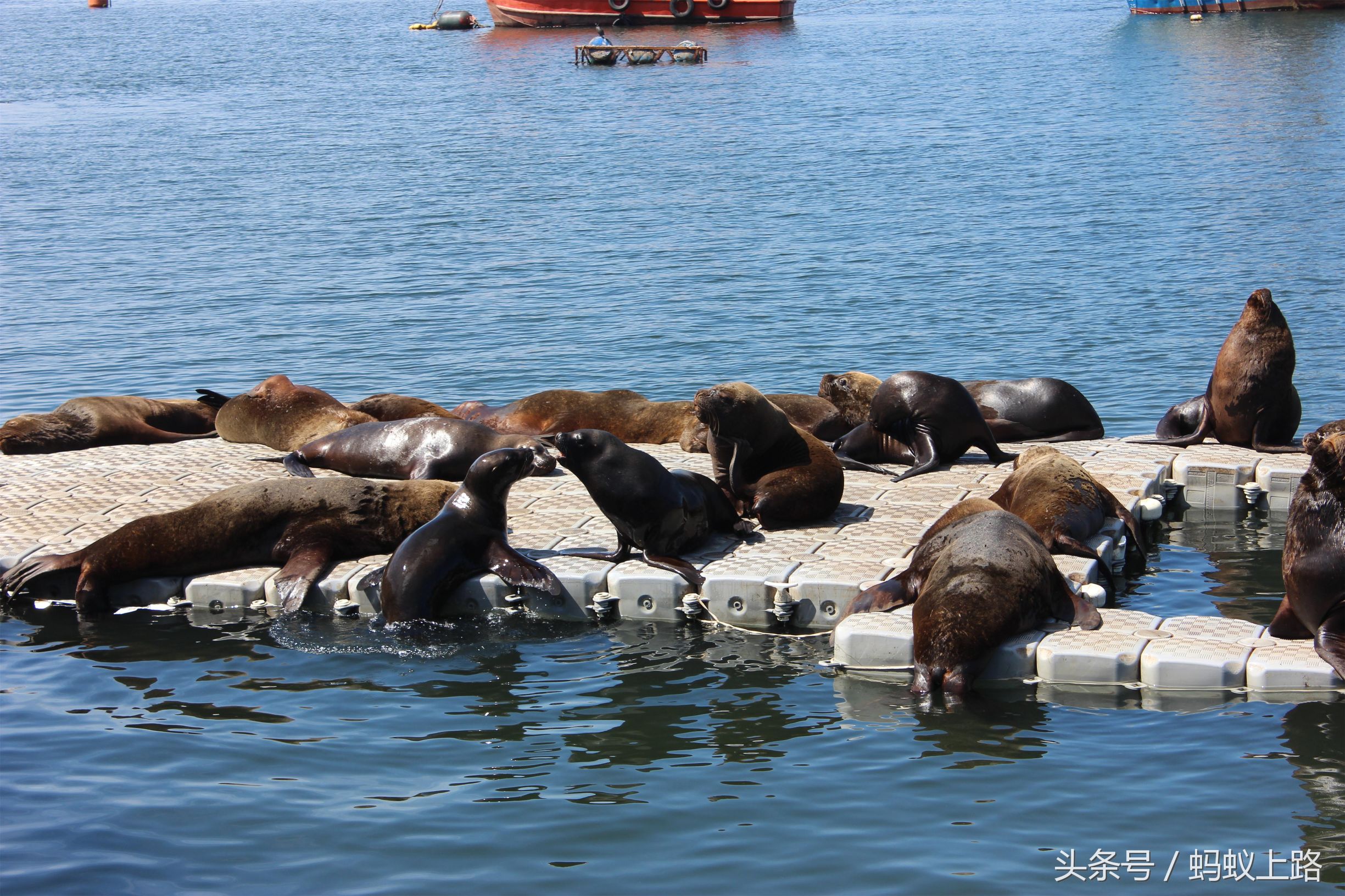 塔尔卡瓦诺智利军港图片,塔尔卡瓦诺城市