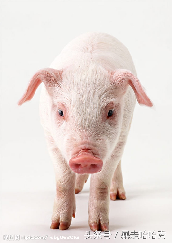 一些神奇的常识,你知道这些神奇的冷知识吗