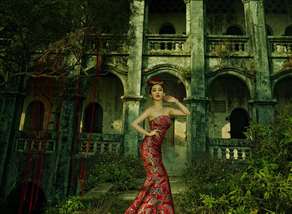 中国桂圆之乡广西博白,博白的桂圆和莆田桂圆谁好