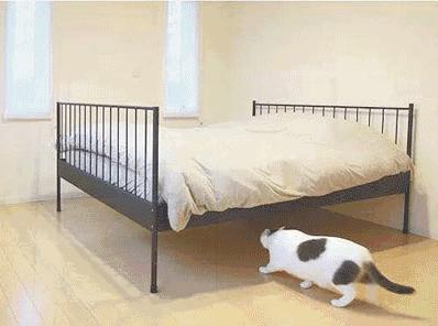 最难不过断舍离,最难断舍离的四种物品