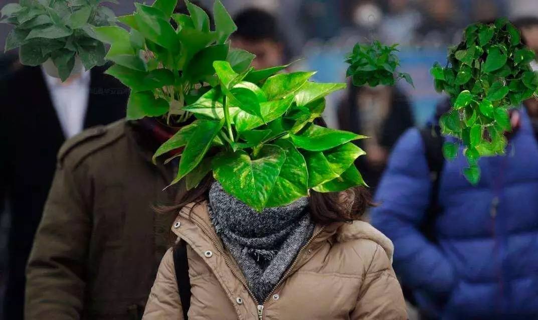 沙逼北京：论风沙的可食性报告！