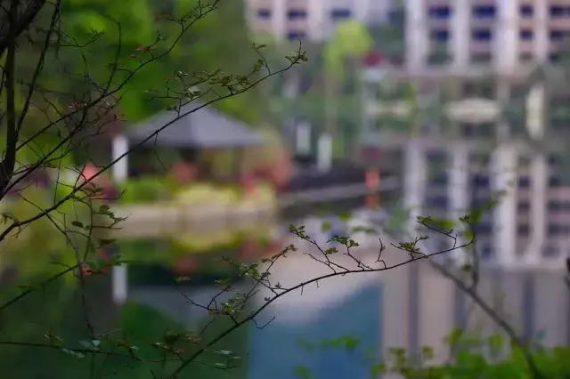 核心价值观57期,核心价值观之爱国敬业诚信友善