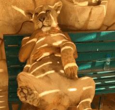 小朋友，你才多大呀？就敢搞鸡！妈妈同意了吗？