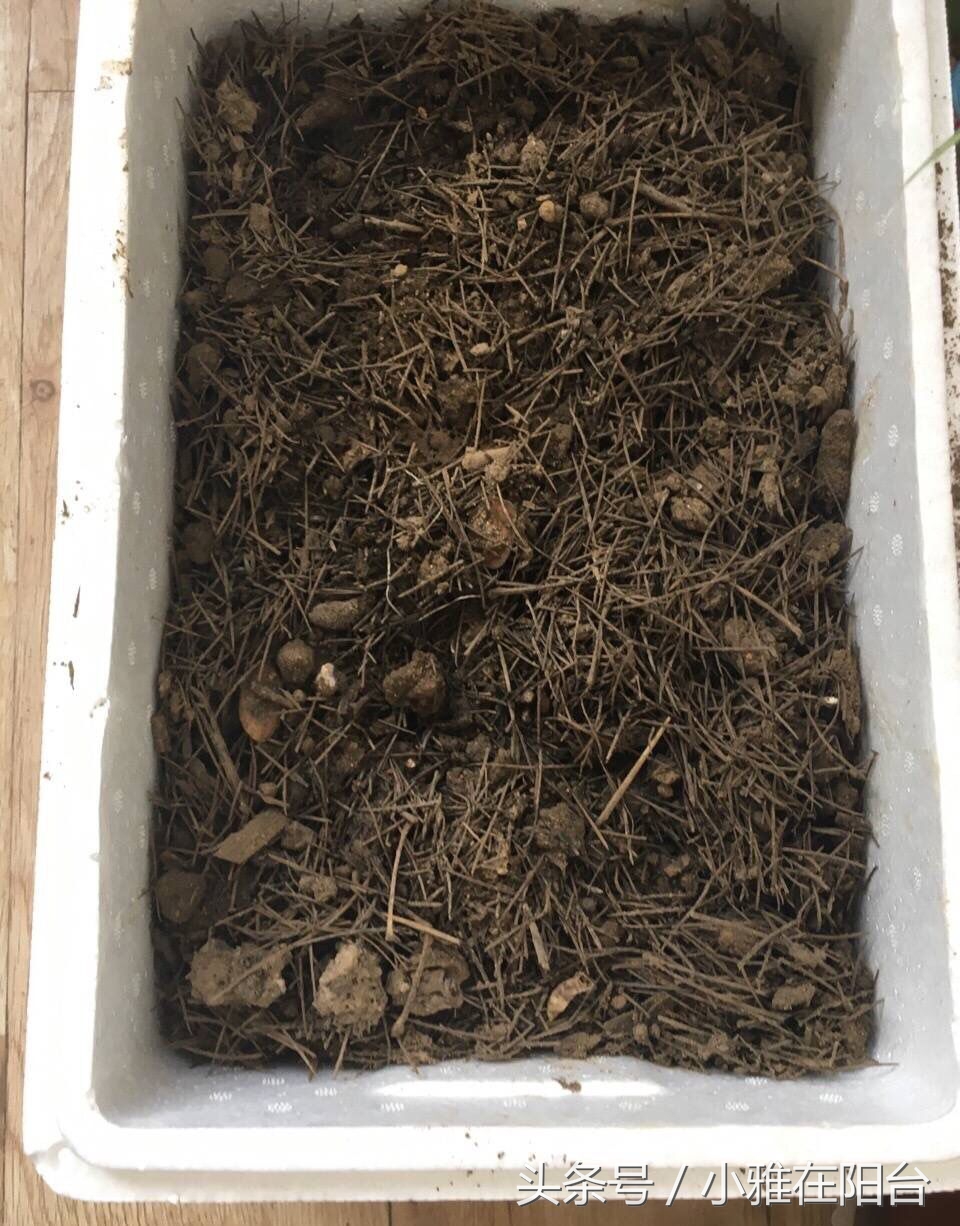 用有机肥料种菜制作方法,用什么做肥料种菜好