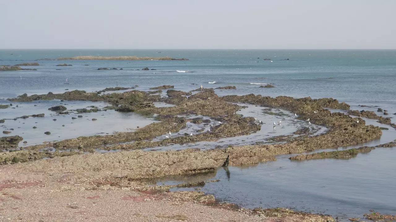 大连东北路有什么好玩的,大连哪里的海岸好玩