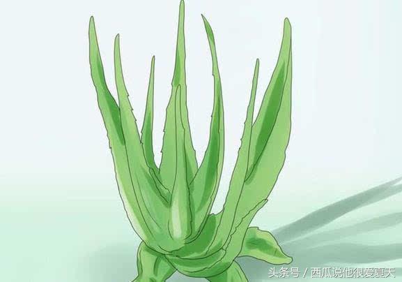 夏季身体晒黑美白小妙招,晒黑了如何变白实用的美白方法