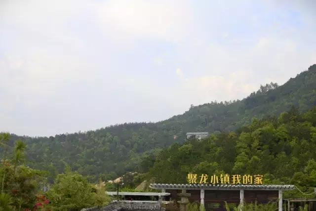 核心价值观57期,核心价值观之爱国敬业诚信友善