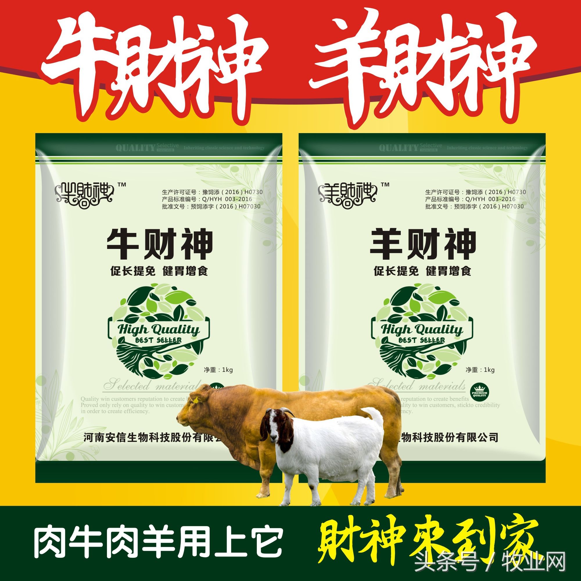 养牛疾病的诊断和治疗措施是什么,怎样快速识别牛病