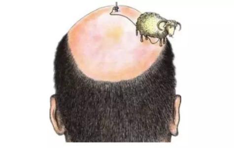 5个小妙招帮你克服脱发,防止脱发最有效小妙招