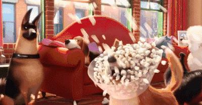 口腔科门诊的不良事件有哪些,口腔门诊那些事