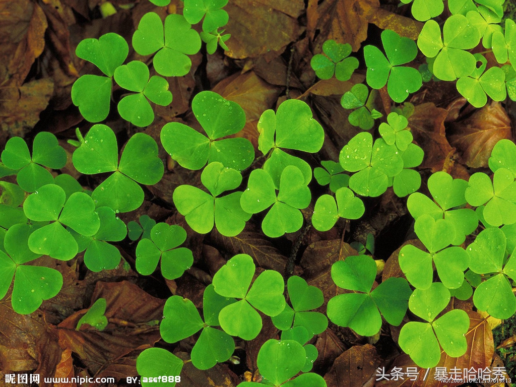 一些神奇的常识,你知道这些神奇的冷知识吗