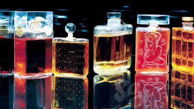 兰蔻沙龙玫瑰,兰蔻的浪漫故事