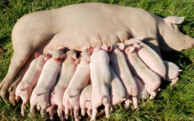 该哭还是应该笑,该哭还是该笑呢