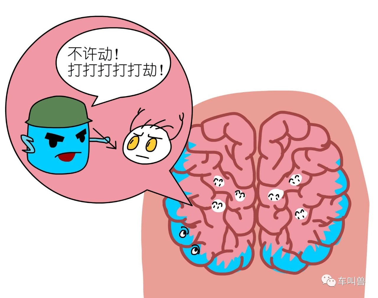 车叫兽视频讲解,车叫兽