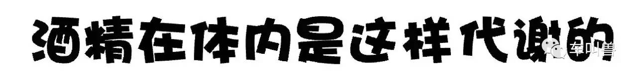 车叫兽视频讲解,车叫兽