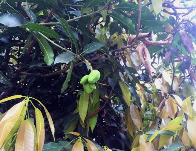 中越边境哪里最值得去,云南边境河口口岸游玩攻略