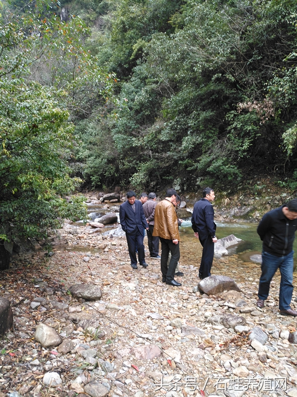 石蛙养殖基地要多久才长得大,石蛙养殖网