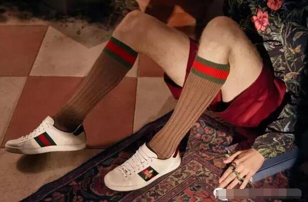 gucci帆布鞋与小白鞋 (gucci很火的一双鞋)