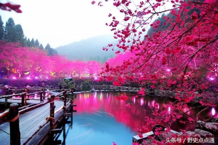 我国东部地区有多少日本人,目前中国境内有多少日本人