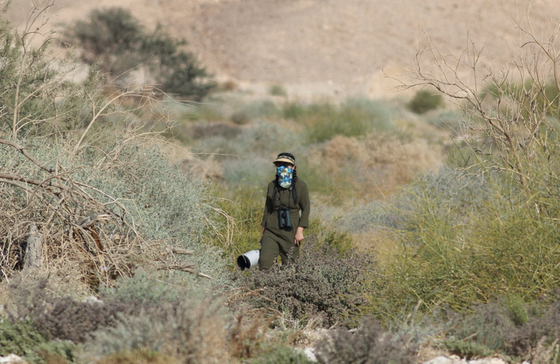 以色列,闯入“禁区”的观鸟人