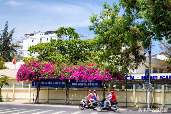 越南背包客旅游地方,越南背包客的穿越之旅