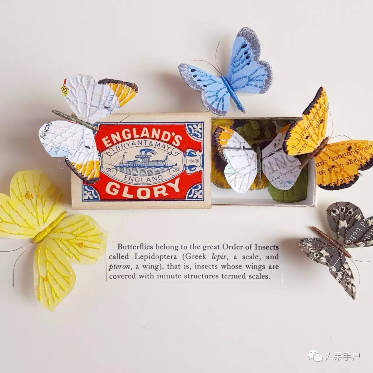 100人民币手工蝴蝶,昆虫大合集手工