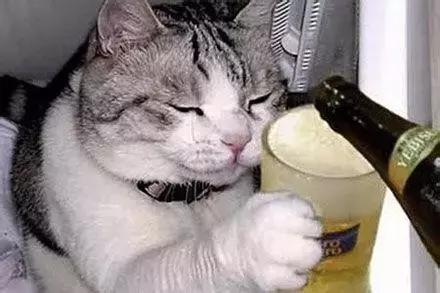 做医疗器械销售怎么样有前途吗,做医疗器械销售多久能赚钱